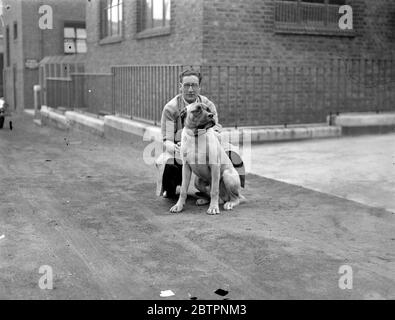 Kein Unterschriftmann mit Hund Stockfoto