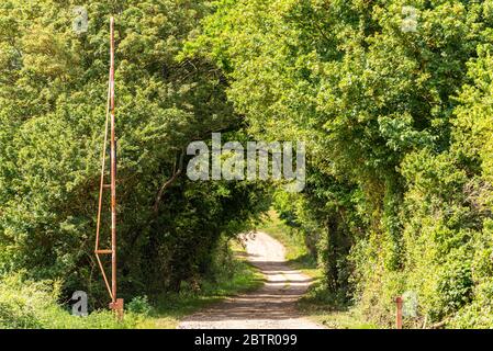 Baumgesäumte Tunnel-Landstraße mit einer alten, rostigen Barriere. Ländliche Gegend in der Nähe von Nayland, Suffolk, Großbritannien. Landstraße, die außer Sichtweite durch Bäume führt Stockfoto