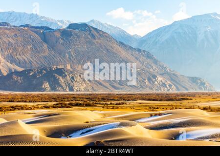 Sanddünen in Ladakh Jammu & Kaschmir, Indien. Atemberaubende silberne Sanddünen von Hunder in der Nubra Valley Region in Ladakh, Indien. - Bild Stockfoto