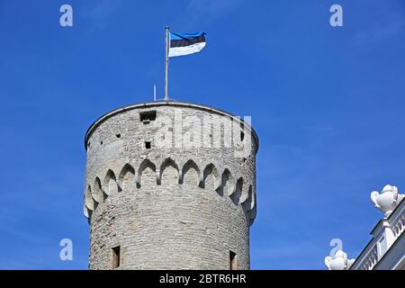 Turm mit der Nationalflagge auf dem Gebäude des estnischen Parlaments auf dem Hügel Toompea im zentralen Teil der Altstadt, Tallinn, Estland. Stockfoto