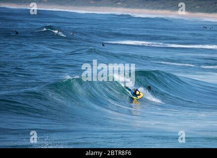 Surfen am Culburra Beach, New South Wales, Australien, Nahaufnahme von Surfern aus den Wellen Stockfoto