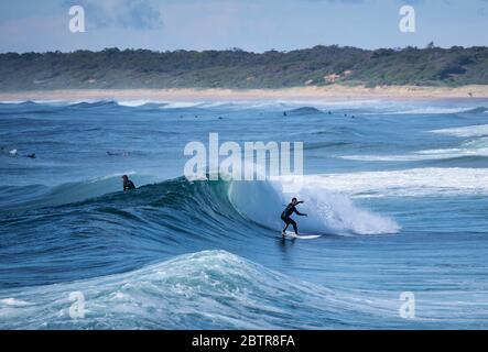 Surfen am Culburra Beach, New South Wales, Australien, Nahaufnahme von Surfern aus den Wellen Stockfoto