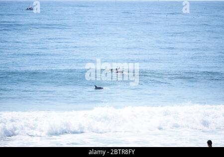 Surfen am Culburra Beach, New South Wales, Australien, Nahaufnahme von Surfern aus den Wellen Stockfoto