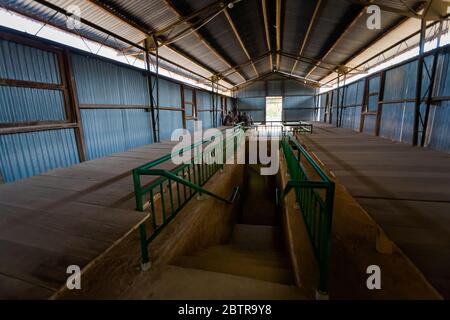 Szenen des Bürgerkriegs im Kokosnussbaum Gefängnis auf der Insel Phu Quoc - einem Thoi Gebiet in Vietnam. Realistische Szenen mit Puppen. Stockfoto