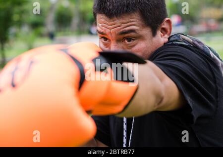 Professionelle Boxer mit Blick auf die Kamera und werfen einen Dorn Stockfoto