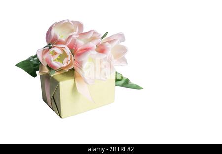 Das Geschenk und eine Tulpe sind auf weißem Hintergrund isoliert. Platz für Text Stockfoto