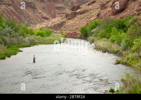 Fliegenfischen der untere Owyhee River, Owyhee River unterhalb des Staudammgebiets von kritischer Umweltbelangnahme, Vale District Bureau of Land Management, Oregon Stockfoto