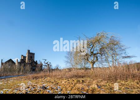 Alter Baum auf dem Gelände des verrottet Hartwood Hospital in der Nähe von Shotts, North Lamnarkshire, Schottland. Stockfoto