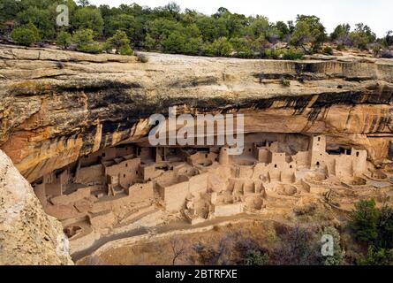 CO00234-00...COLORADO - Cliff Palace Dorf mit Alkoven, das vor über 700 Jahren von den Vorfahren Puebloans erbaut wurde und heute Teil des Mesa Verde Nationalparks ist. Stockfoto
