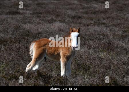 w Stockfoto