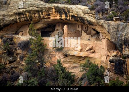 CO00241-00...COLORADO - Balkonhaus in einer Nische über Soda Canyon, vor 700 Jahren von den Vorfahren Puebloans gebaut; in Mesa Verde National P. Stockfoto