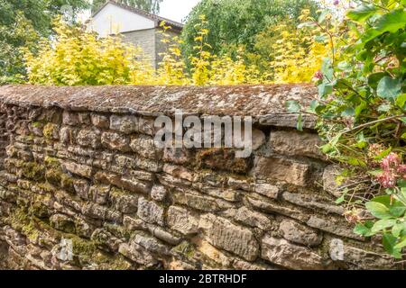 Jahrhunderte alte Steinmauer, mit Schichten von unebenen, zementierten lokalen Mauerwerk, mit gebogenen Spitze gebaut. Lincolnshire, England, Großbritannien. Stockfoto