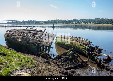 Verödende Boote in Bowling Harbor, West Dunbartonshire. Stockfoto