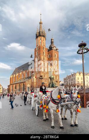 Krakau, Polen - 24. April 2019: Altmodisch gekleidete Träger in Kutschen mit geschmückten Pferden warten auf eine touristische Fahrt vor der gotischen St. Stockfoto