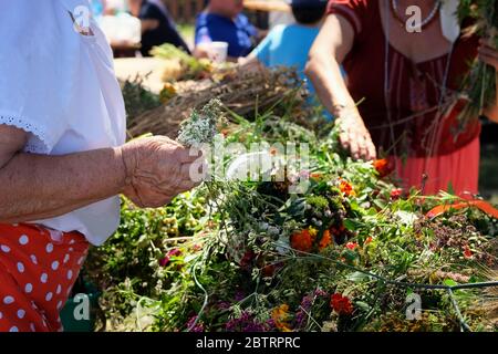Ältere Frau webt einen Kranz auf dem Kopf mit Wildblumen und Wiesengräsern. Verschiedene Feldblumen, wunderbare Tradition. Sommerkonzept. Stockfoto