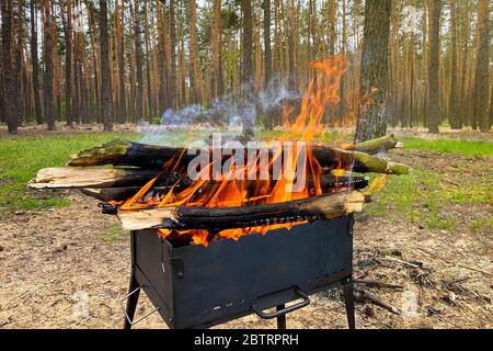 Brennholz brennt im Grill, Kohlen zum Grillen vorbereiten. Barbecue in der Natur. Holzfeuer für BBQ vorbereitet. Grillsaison im Nadelwald. Stockfoto