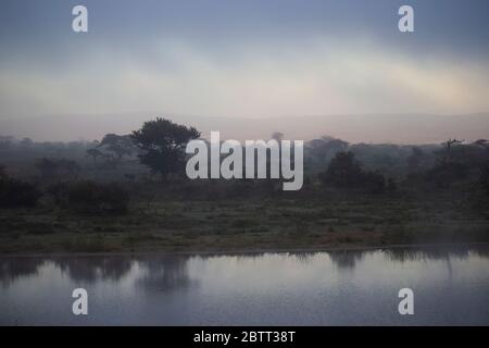 Am frühen Morgen liegt Nebel, während die Dämmerung über dem Zimanga Private Game Reserve in Mkuze, Kwazulu Natal, Südafrika bricht. Stockfoto