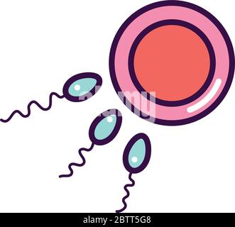 Fruchtbarkeit Reproduktion von Eizellen und Spermatozoon auf weißem Hintergrund, Linienfarbe Stil, Vektor-Illustration Stock Vektor