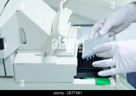 Forscher oder Wissenschaftler, die eine 96-Well-Platte in einer quantitativen PCR-Maschine/Thermocycler für DNA- oder RNA-Quantifizierung in einer biotechnologischen Arbeit einführen Stockfoto