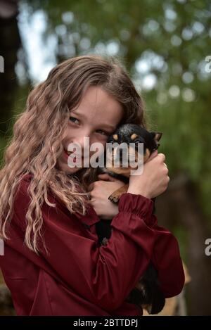 Mädchen mit einem chihuahua. Mädchen, das chihuahua hält. Mädchen mit ihrem Haustier in den Armen. Chihuahua in schwarz braun weiß. Stockfoto