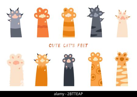 Katze Pfoten - Beine, Hund Pfote, Katze Hintergrund, Kätzchen flaches Design, Drucke, Karikatur, niedlich Katze Fuß Tapete Vektor-Illustration Stock Vektor