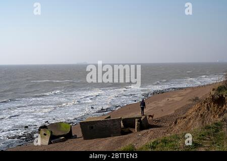 Kriegsbeengepfilder am Strand wegen der Erosion der Küste Stockfoto