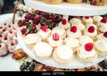 Köstliche Mini-Kuchen in Büfetts. Mit Obst dekorierte Cupcakes. Verschiedene Desserts auf Party. Feier, Party, Geburtstag oder Hochzeit Konzept. Stockfoto