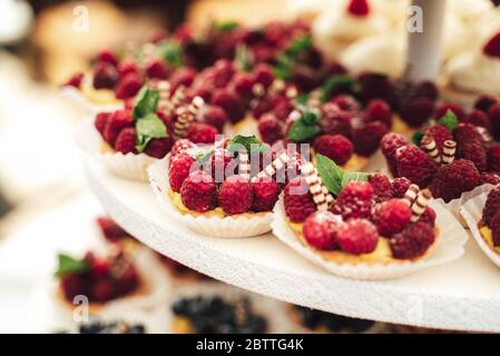 Köstliche Mini-Kuchen in Büfetts. Mit Himbeeren dekorierte Cupcakes. Verschiedene Desserts auf Party. Feier, Party, Geburtstag oder Hochzeit Konzept. Stockfoto