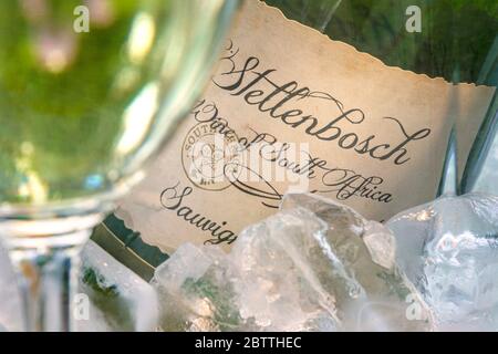 Stellenbosch Südafrika Weißwein Sauvignon Blanc Flasche und Etikett Nahaufnahme im Eiskühler mit Weinglas in sonniger Gartenlage im Freien Stockfoto