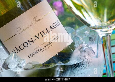 Macon-Villages ‘François Martenot’ Burgund Beaune Weinflasche im Weinkühler mit Eis auf dem Gartentisch unter freiem Himmel Macon Verkostungssituation Macon Frankreich Stockfoto