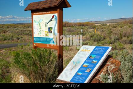 Informationbrett, Malheur National Wildlife Refuge, Oregon Stockfoto