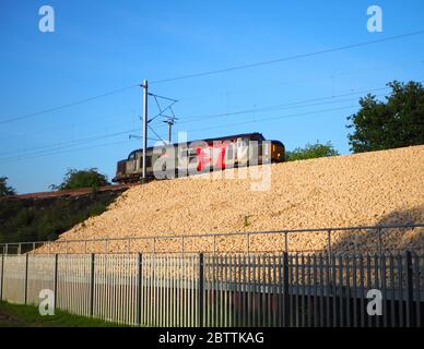 Europhoenix Rail Operations Group die Klasse 37 37800 der leichten Lokomotive "Cassiopeia" passiert Northampton auf der West Coast Main Line Stockfoto