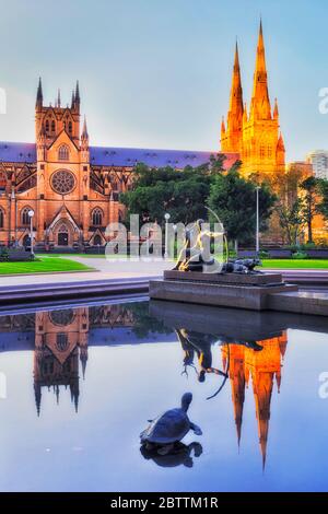 Historische katholische Kathedrale in Sydney, in der Nähe des Hyde Parks mit Springbrunnen bei Sonnenaufgang, wenn das ruhige Wasser die Kirchtürme widerspiegelt. Stockfoto