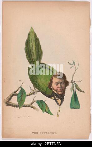 Der Anwalt. Stockfoto