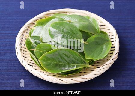 Persimmon Blätter, Kräutermedizin in einem Bambuskorb Stockfoto