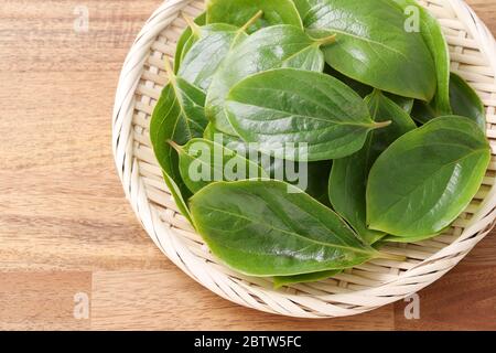 Persimmon Blätter, Kräutermedizin in einem Bambuskorb Stockfoto