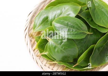 Persimmon Blätter, Kräutermedizin in einem Bambuskorb Stockfoto