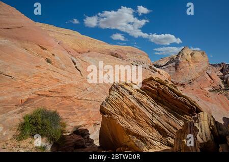 NV00122-00....NEVADA - Bunte Felsen entlang des White Domes Loop Trail im Valley of Fire State Park, Stockfoto