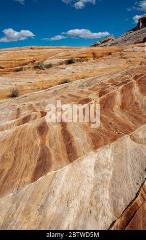 NV00125-00....NEVADA - farbenfroher Sandstein entlang des White Domes Loop Trail im Valley of Fire State Park. Stockfoto