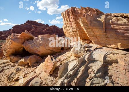 NV00132-00...NEVADA - Schichten und zerbrechliche Verdichtungsschichten im Sandstein entlang des White Domes Loop Trail im Valley of Fire State Park. Stockfoto