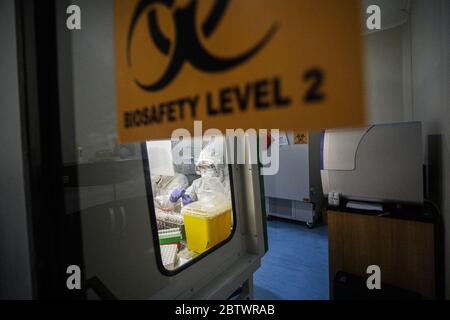 Bandung, West Java, Indonesien. Mai 2020. Ein Mediziner, der einen Schutzanzug trägt, untersuchte die Probenergebnisse der Untersuchung mit Polymerase Chain Reaction (PCR) Methode im Biosafety Level II Laboratory (BSL-2) in Bandung, West Java, Indonesien. Derzeit plant die indonesische Regierung, 72 Labore in Indonesien neu zu betonen. Dies wurde auch als Versuch, das Ziel von 10,000 Test PCR pro Tag in Indonesien zu erreichen getan. Quelle: Agvi Firdaus/ZUMA Wire/Alamy Live News Stockfoto