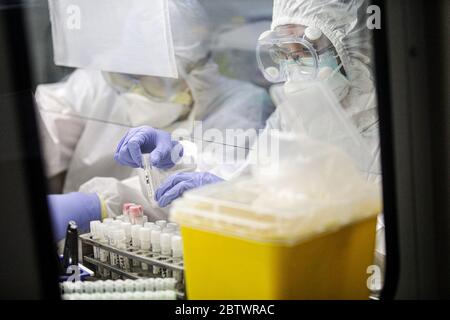 Bandung, West Java, Indonesien. Mai 2020. Ein Mediziner, der einen Schutzanzug trägt, untersuchte die Probenergebnisse der Untersuchung mit Polymerase Chain Reaction (PCR) Methode im Biosafety Level II Laboratory (BSL-2) in Bandung, West Java, Indonesien. Derzeit plant die indonesische Regierung, 72 Labore in Indonesien neu zu betonen. Dies wurde auch als Versuch, das Ziel von 10,000 Test PCR pro Tag in Indonesien zu erreichen getan. Quelle: Agvi Firdaus/ZUMA Wire/Alamy Live News Stockfoto