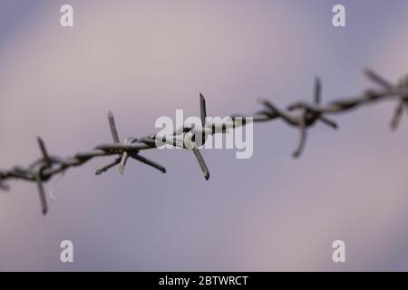 Stacheldraht vor blauem weißem Hintergrund Stockfoto