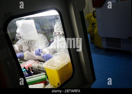 Bandung, West Java, Indonesien. Mai 2020. Ein Mediziner, der einen Schutzanzug trägt, untersuchte die Probenergebnisse der Untersuchung mit Polymerase Chain Reaction (PCR) Methode im Biosafety Level II Laboratory (BSL-2) in Bandung, West Java, Indonesien. Derzeit plant die indonesische Regierung, 72 Labore in Indonesien neu zu betonen. Dies wurde auch als Versuch, das Ziel von 10,000 Test PCR pro Tag in Indonesien zu erreichen getan. Quelle: Agvi Firdaus/ZUMA Wire/Alamy Live News Stockfoto