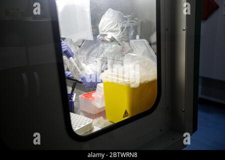 Bandung, West Java, Indonesien. Mai 2020. Ein Mediziner, der einen Schutzanzug trägt, untersuchte die Probenergebnisse der Untersuchung mit Polymerase Chain Reaction (PCR) Methode im Biosafety Level II Laboratory (BSL-2) in Bandung, West Java, Indonesien. Derzeit plant die indonesische Regierung, 72 Labore in Indonesien neu zu betonen. Dies wurde auch als Versuch, das Ziel von 10,000 Test PCR pro Tag in Indonesien zu erreichen getan. Quelle: Agvi Firdaus/ZUMA Wire/Alamy Live News Stockfoto