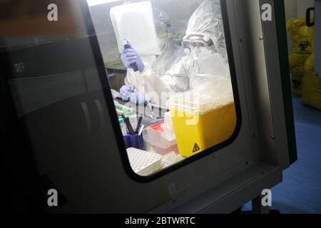 Bandung, West Java, Indonesien. Mai 2020. Ein Mediziner, der einen Schutzanzug trägt, untersuchte die Probenergebnisse der Untersuchung mit Polymerase Chain Reaction (PCR) Methode im Biosafety Level II Laboratory (BSL-2) in Bandung, West Java, Indonesien. Derzeit plant die indonesische Regierung, 72 Labore in Indonesien neu zu betonen. Dies wurde auch als Versuch, das Ziel von 10,000 Test PCR pro Tag in Indonesien zu erreichen getan. Quelle: Agvi Firdaus/ZUMA Wire/Alamy Live News Stockfoto