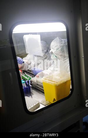 Bandung, West Java, Indonesien. Mai 2020. Ein Mediziner, der einen Schutzanzug trägt, untersuchte die Probenergebnisse der Untersuchung mit Polymerase Chain Reaction (PCR) Methode im Biosafety Level II Laboratory (BSL-2) in Bandung, West Java, Indonesien. Derzeit plant die indonesische Regierung, 72 Labore in Indonesien neu zu betonen. Dies wurde auch als Versuch, das Ziel von 10,000 Test PCR pro Tag in Indonesien zu erreichen getan. Quelle: Agvi Firdaus/ZUMA Wire/Alamy Live News Stockfoto