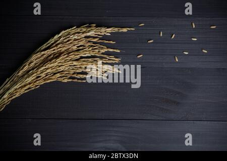 Zorgelber Reis und weißer Reis und Bio-Jasminreis auf Holztisch Stockfoto