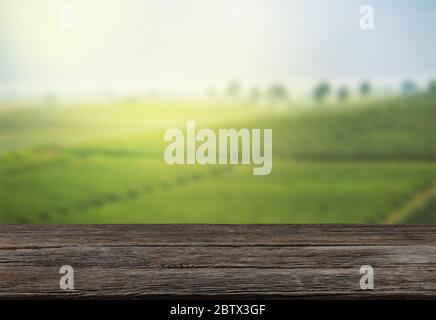 Leerer Holztisch mit Blick auf den Berg oder Holzschreibtisch mit Plantage Natur mit Bokeh Hintergrund, kopieren Sie Platz für Ihren Text Stockfoto