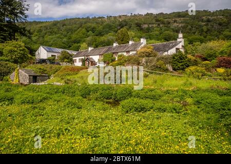 Whitbarrow ist ein Hügel in Cumbria, England. Bezeichnet als biologische Stätte von Special Scientific Stockfoto